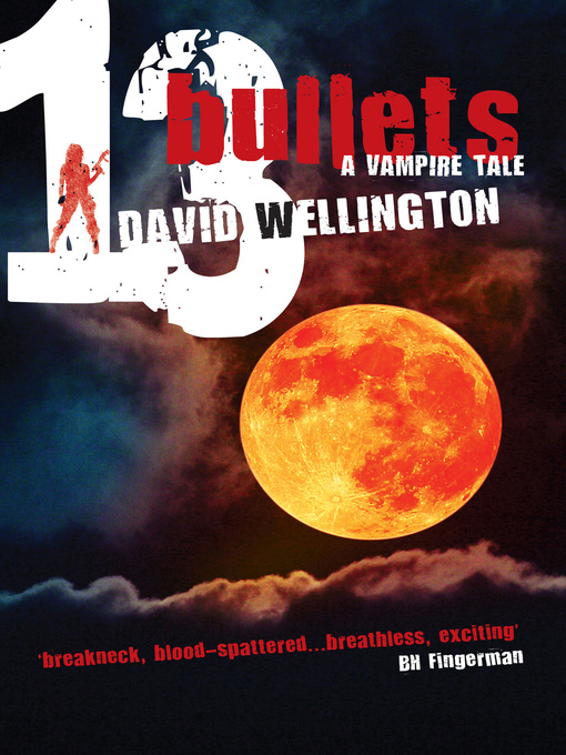 Cover image for 13 Bullets